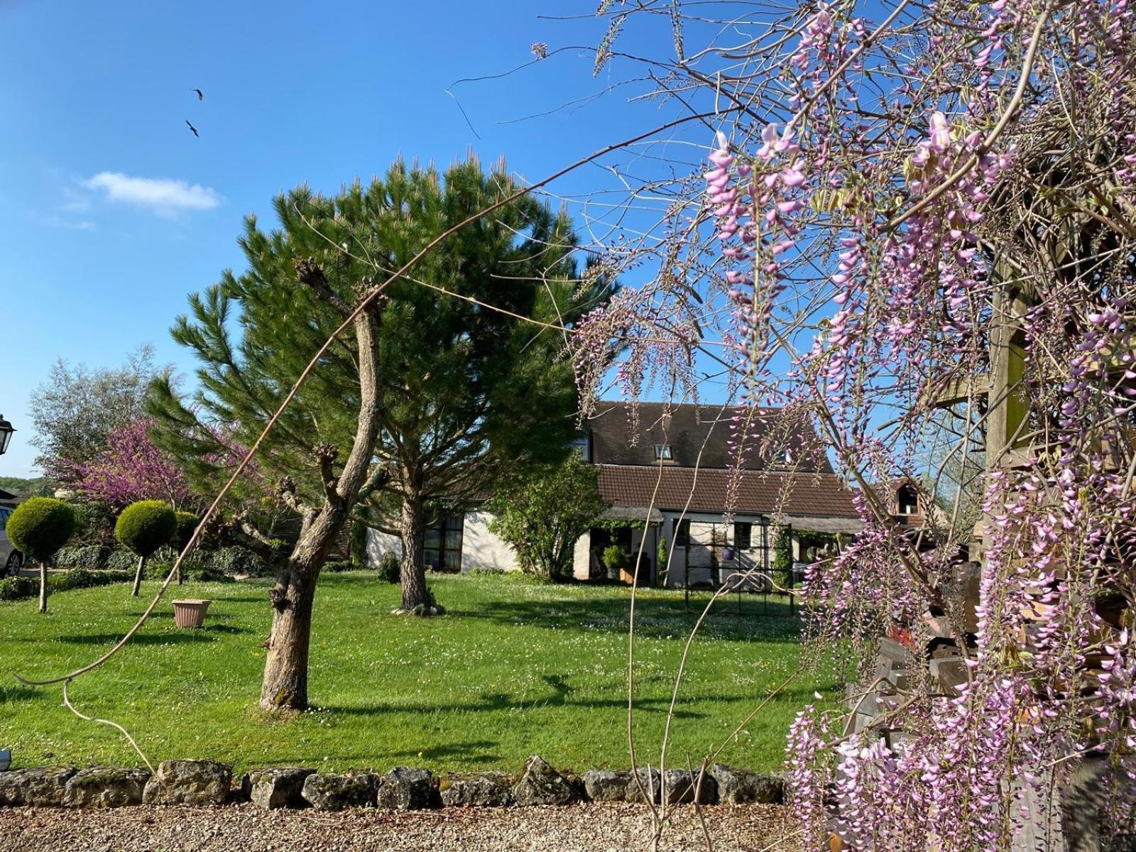 Gite Et Studios Les Barongeres Farges-les-Chalon Luaran gambar