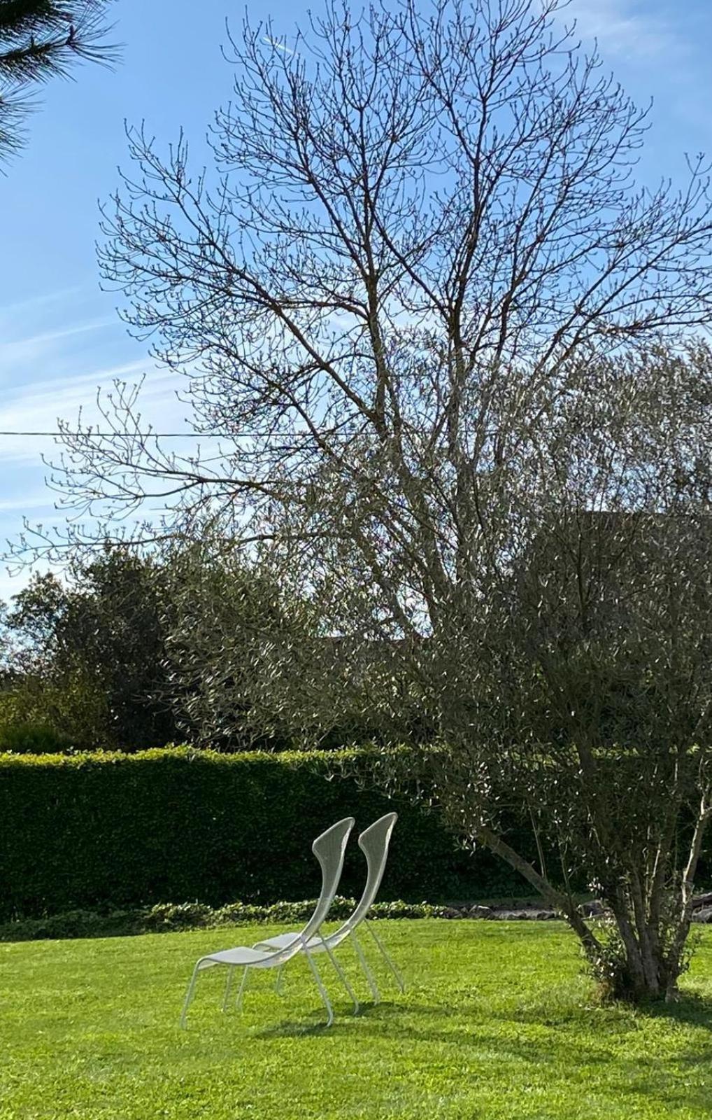 Gite Et Studios Les Barongeres Farges-les-Chalon Luaran gambar