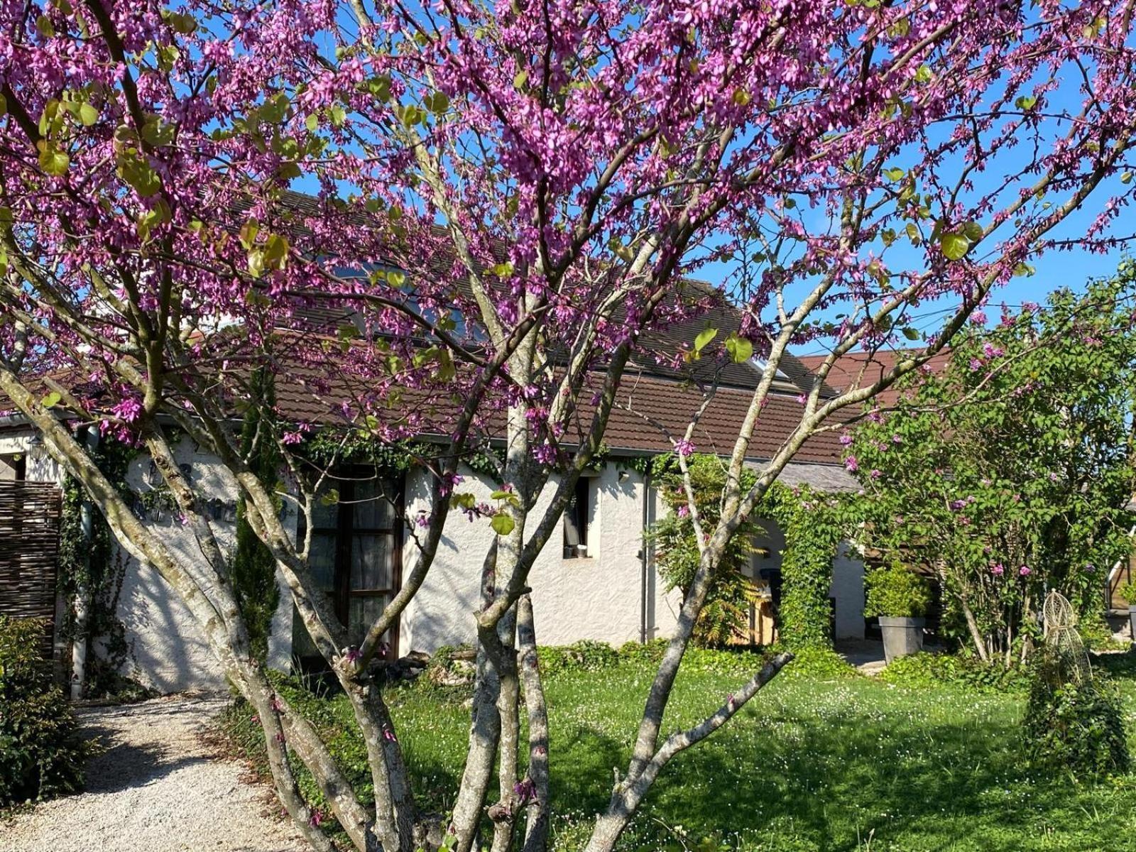 Gite Et Studios Les Barongeres Farges-les-Chalon Luaran gambar