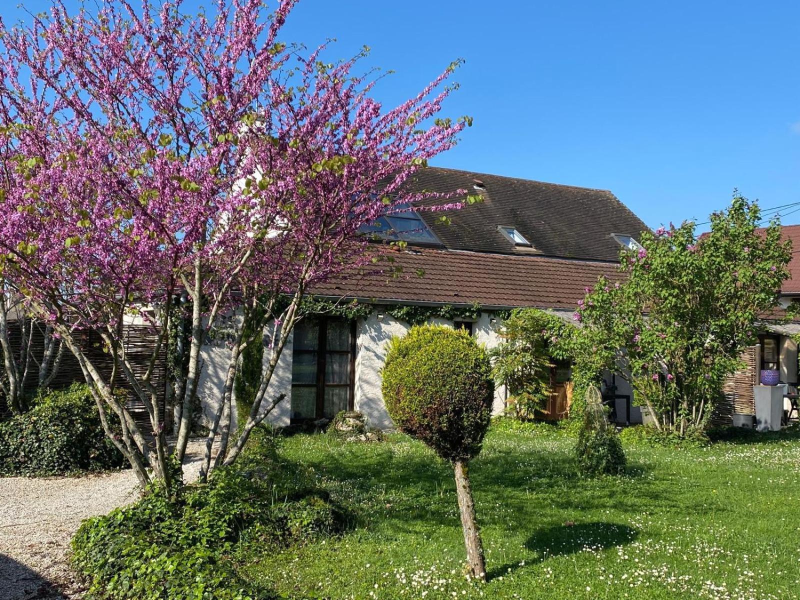 Gite Et Studios Les Barongeres Farges-les-Chalon Luaran gambar